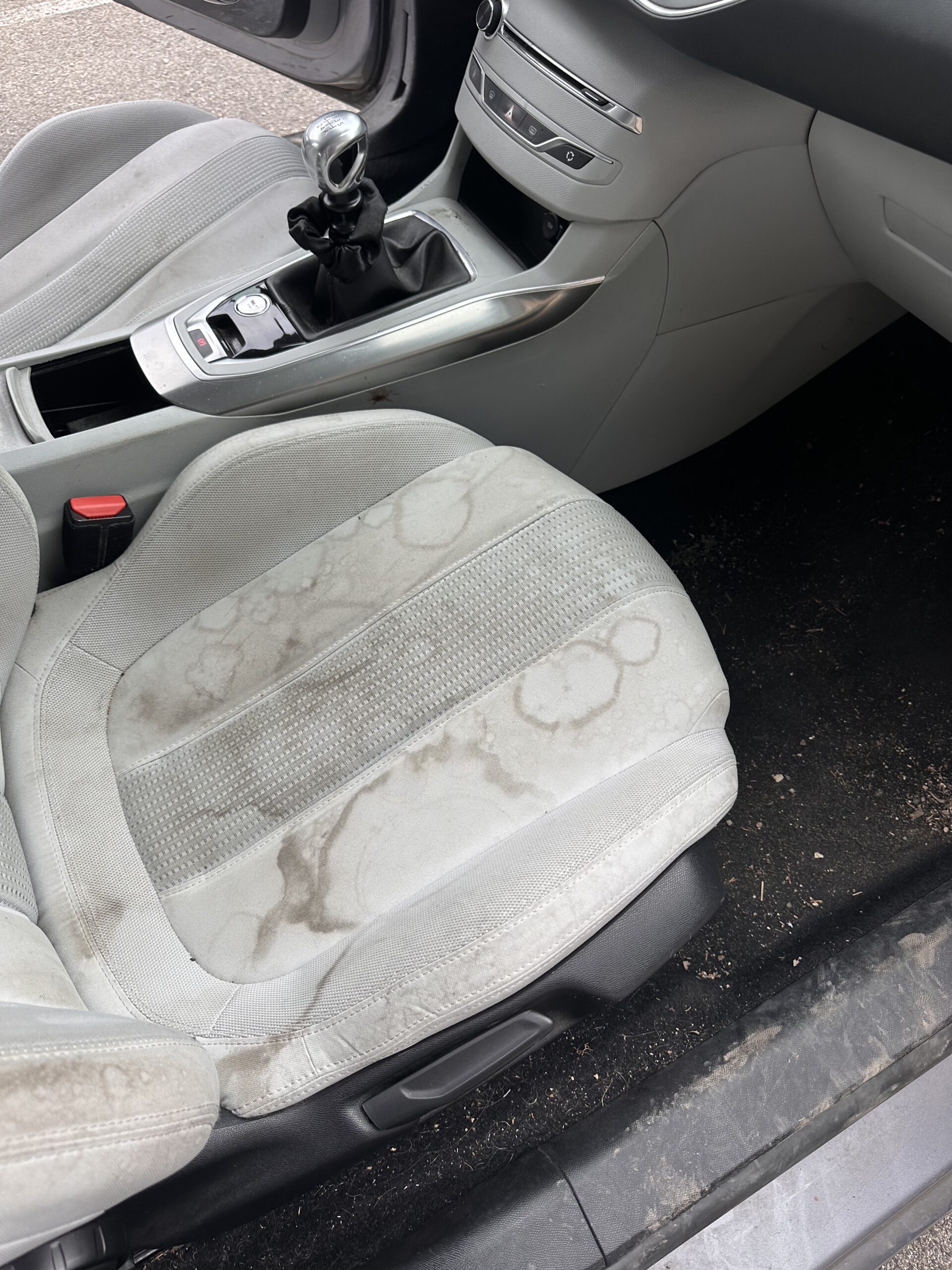 Avant detailing 2